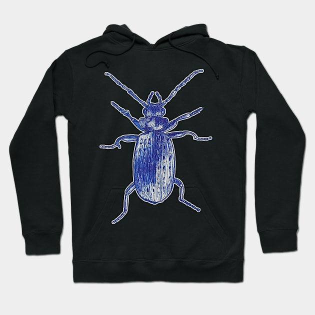 Blue Beetle Hoodie by chadtheartist